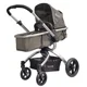 Carucior modular Coccolle Oro 2 in 1 Maro
