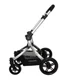 Carucior modular Coccolle Oro 2 in 1 Maro