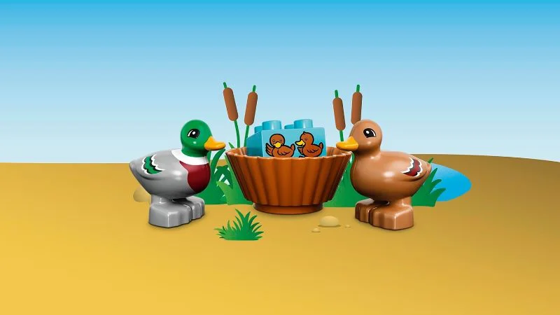 LEGO Duplo - Уточки в лесу foto