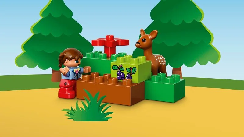 LEGO Duplo - Парк foto