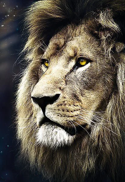 Puzzle Trefl Lion's Portrait, 1500 piese foto