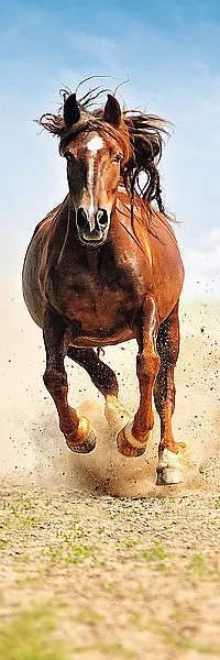 Puzzle Trefl Galloping Horse, 300 piese foto