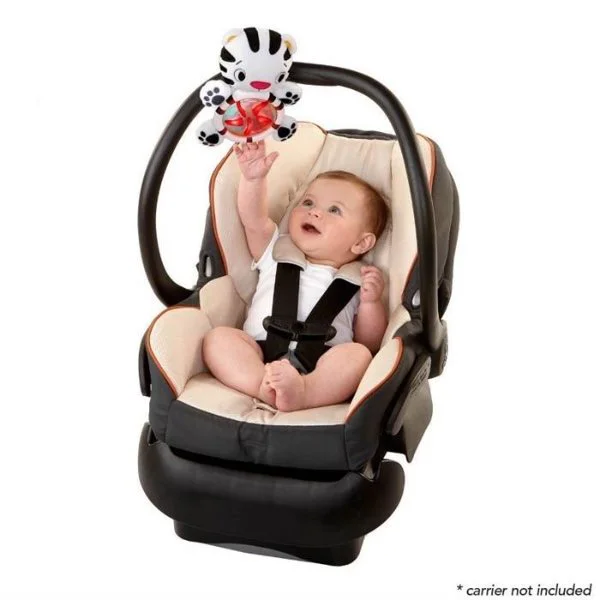 Salteluta interactiva Start Your Senses Bright Starts "Spots&amp;Stripes" foto