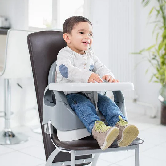 Стульчик для кормления Babymoov Smokey foto