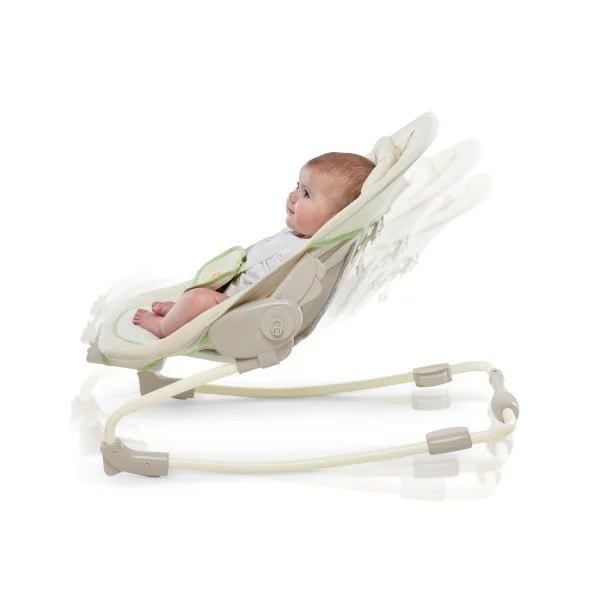 Balansoar 2 in 1 Bright Starts Ingenuity Sunny Snuggles