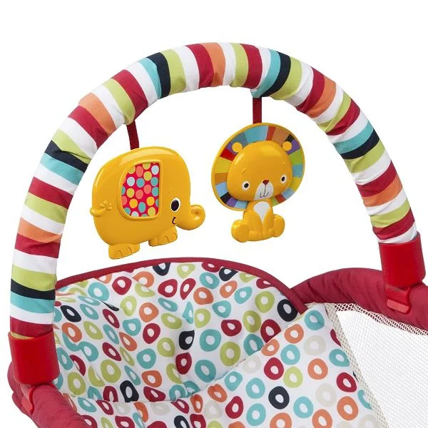 Patut-sleeper Bright Starts Playful Pinwheels foto