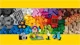 LEGO Classic - Large Creative Brick Box foto
