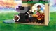 LEGO Elves - The Secret Market Place foto