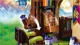 LEGO Elves - The Secret Market Place foto