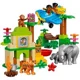 LEGO Duplo - Jungle foto