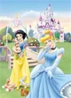Пазл Trefl Disney Princess "Beautiful Princesses", 2 в 1 (24+48 эл.) foto