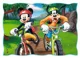 Puzzle Trefl Disney Playing in the park, 4 in 1 (35+48+54+70 piese) foto