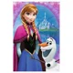 Puzzle Trefl Disney Frozen "In the Frozen Land", 54 MINI piese foto