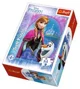 Puzzle Trefl Disney Frozen "In the Frozen Land", 54 MINI piese foto