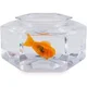 Micro-robot pestisor cu acvariu HEXBUG AquaBot Aquarium foto