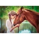 Puzzle Castorland Great Friendship, 500 piese foto