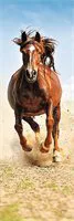Puzzle Trefl Galloping Horse, 300 piese foto