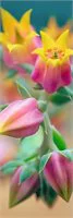 Puzzle Trefl Flowers in blossom, 300 piese foto