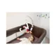 Carusel muzical Babymoov Cerul instelat foto
