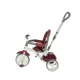 Tricicleta Coccolle Evo bej foto