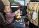 Автомобильный органайзер Babymoov "Playing is a party" foto