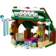 LEGO Disney Princess - Зимние приключения Анны foto