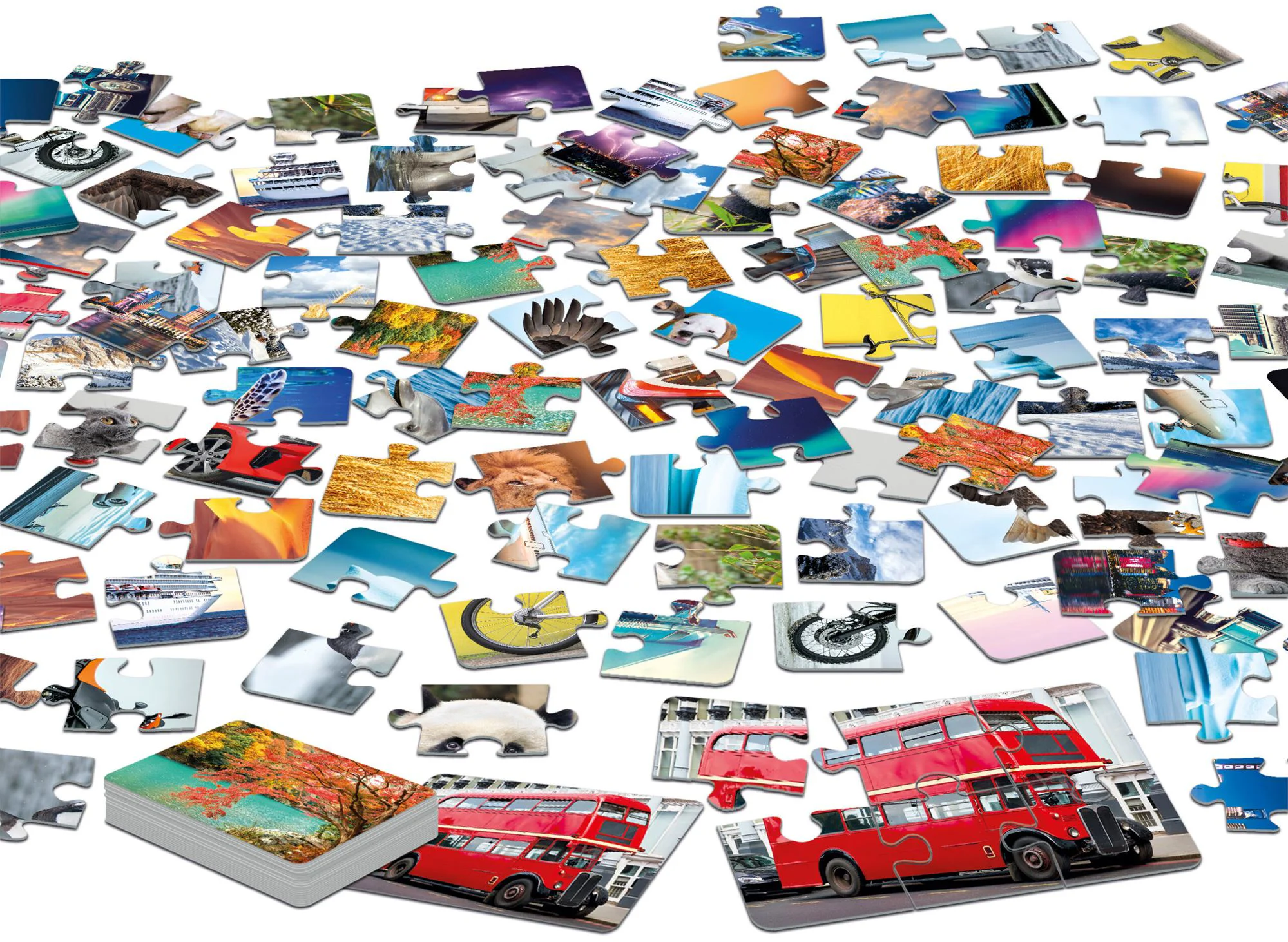 Puzzle Educa 3,2,1 GO Challenge, 24 piese