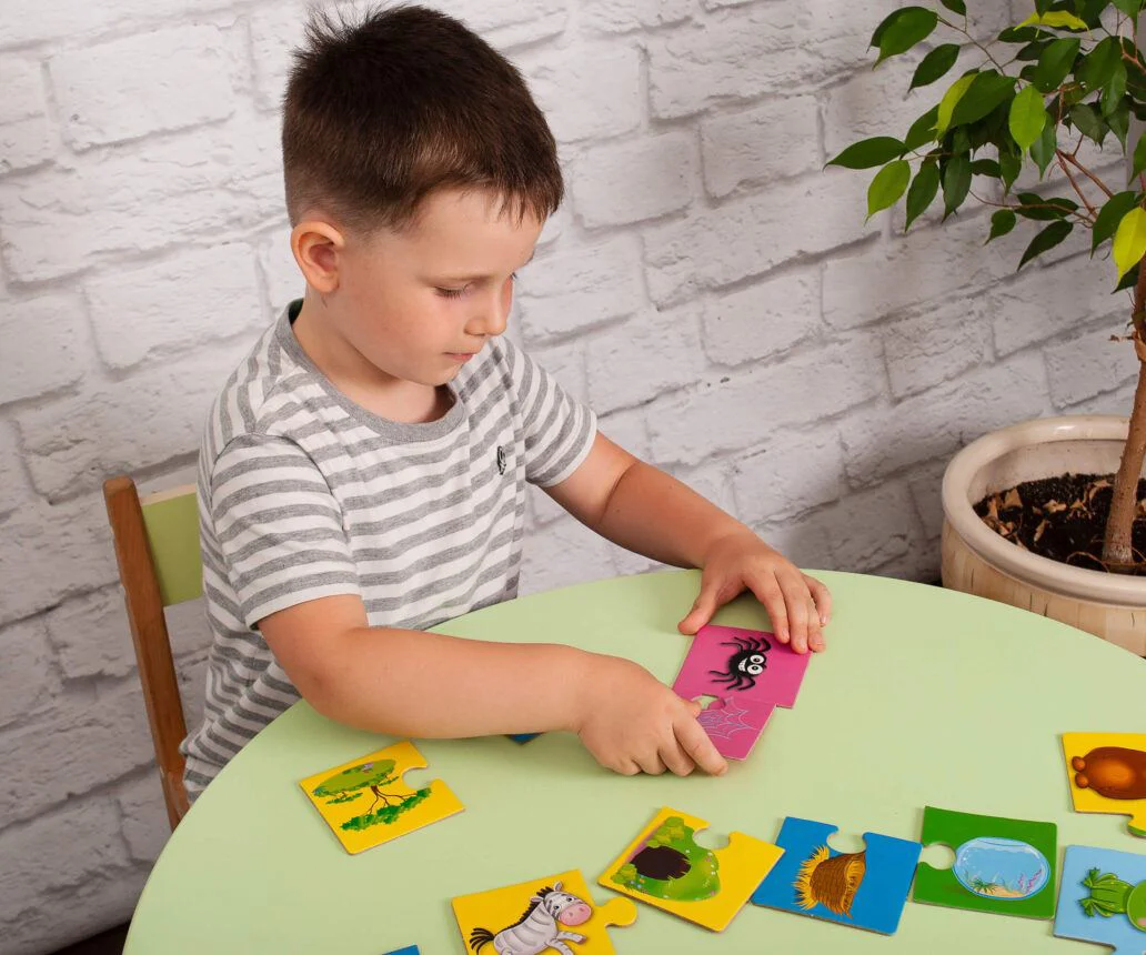 Joc educativ Vladi Toys Unde si a cui e casa? foto