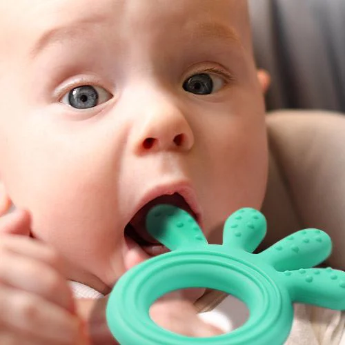 Masajor gingival BabyOno din silicon, Menta Octopus foto