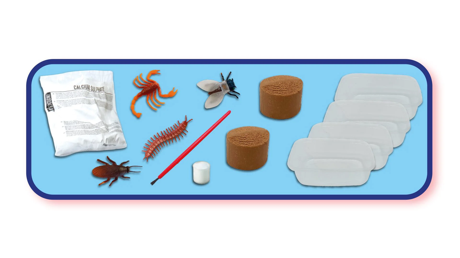 Set educativ SES Creative Exploreaza, Schelete de insecte fosforescente