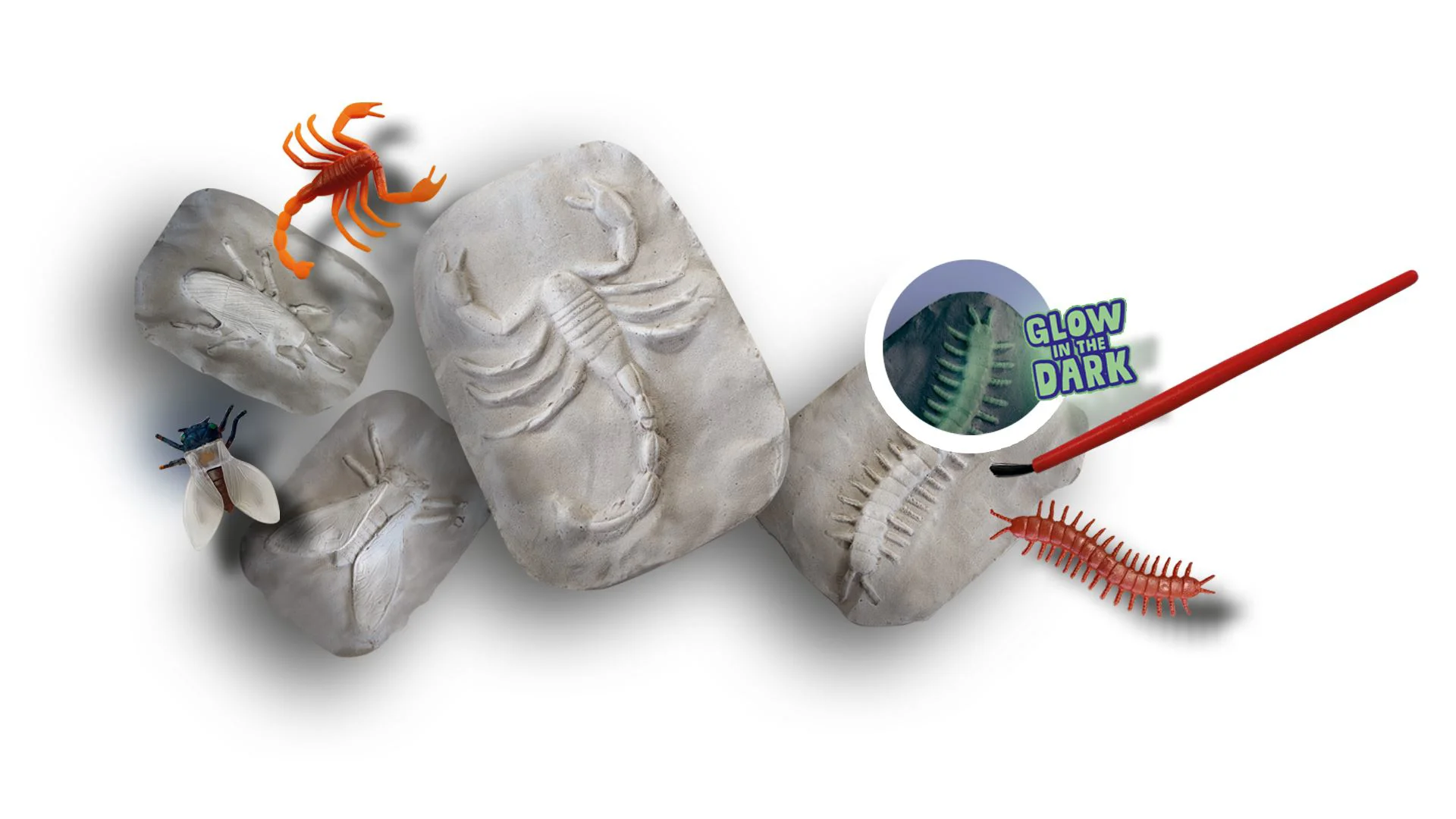 Set educativ SES Creative Exploreaza, Schelete de insecte fosforescente