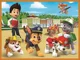 Puzzle Trefl 2 in 1 Memo Patrula Catelusilor foto