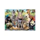 Puzzle Educa O fotografie de grup, 300 piese foto