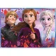 Puzzle Trefl 4 in 1 Disney Frozen 2, Calatorie spre necunoscut (35, 48, 54, 70 piese)