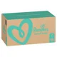 Подгузники Pampers Active Baby 7 Extra Large XXL Box (15+ кг), 116 шт. foto