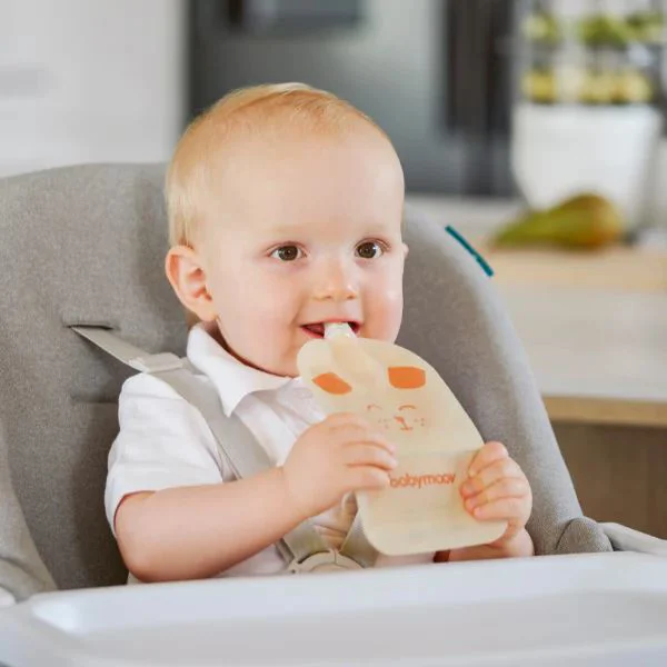 Набор из 20 многоразовых пакетов для кормления Babymoov ISY foto