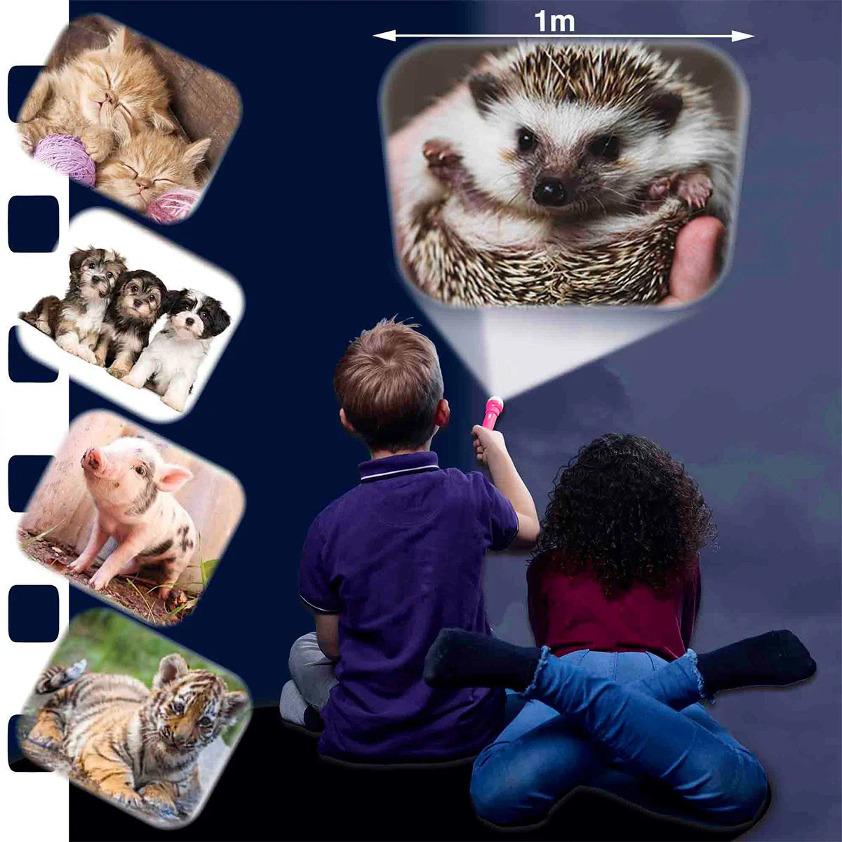 Lanterna-Proiector Brainstorm Toys Animalute adorabile cu 3 discuri - 24 imagini