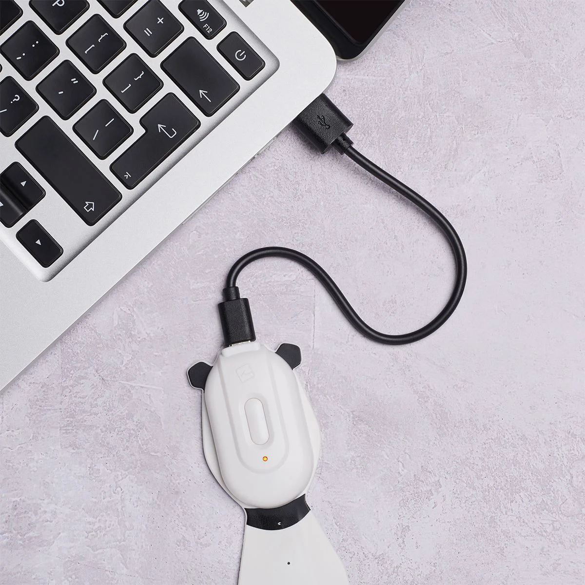 Lanterna- Semn de carte flexibil Flexilight Rechargeable USB, Panda foto