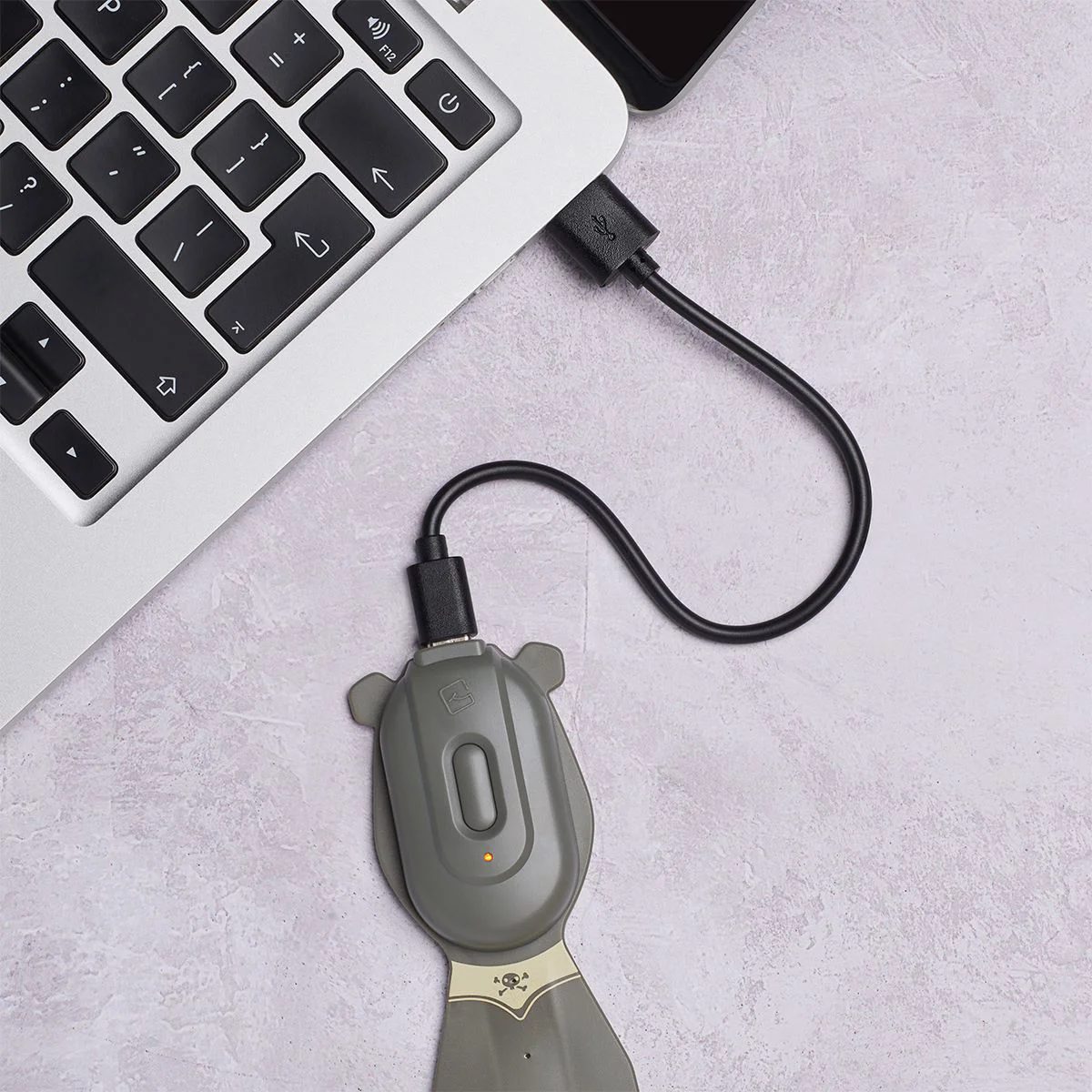Закладка-фонарик Flexilight Rechargeable - Пират foto