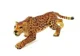 Set figurine LeanToys Animale din Jungla foto