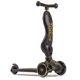 Самокат трансформер 2 в 1 Scoot & Ride HighwayKick 1 Black Gold foto