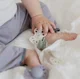 Анатомическая силиконовая пустышка BIBS Infinity Sage (6-18 мес.) foto