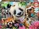 Puzzle Educa Black-Eyed Friends Selfie, 300 piese foto
