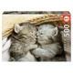 Puzzle Educa Sweet Kittens, 500 piese foto