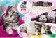 Пазл Trefl Милые котята 160 эл. foto