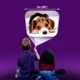 Lanterna-Proiector Brainstorm Toys Animalute adorabile cu 3 discuri - 24 imagini