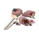 Set de creatie SES Creative Seria Explorer - Excavarea insectelor fosilizate