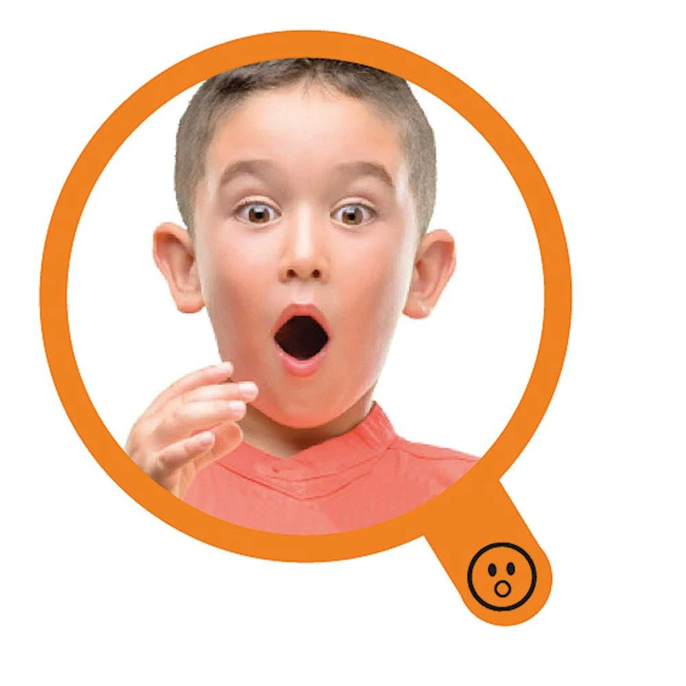 Set de joaca cu oglinda Learning Resources Emotiile mele
