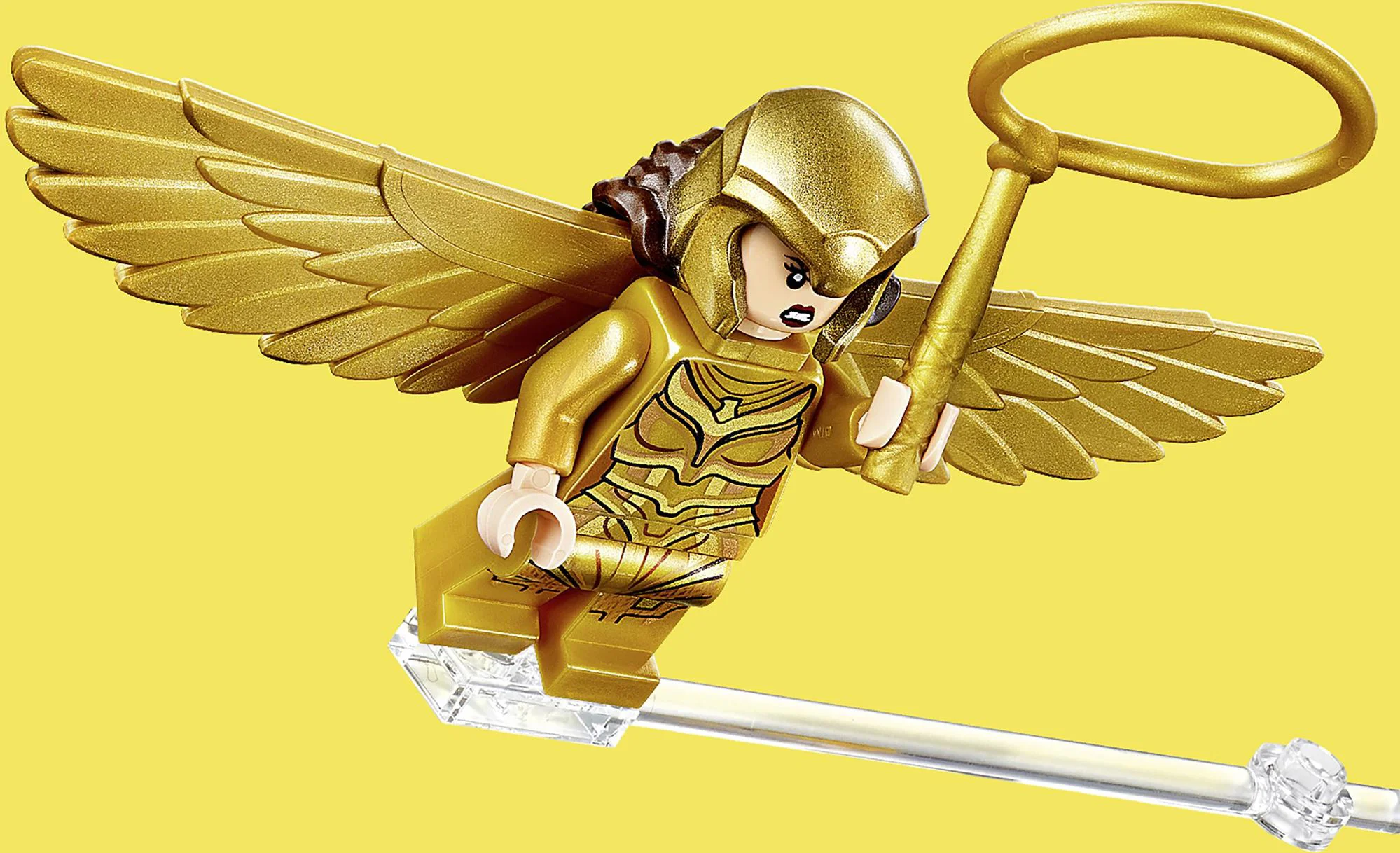 LEGO Super Heroes Wonder Woman vs Cheetah foto