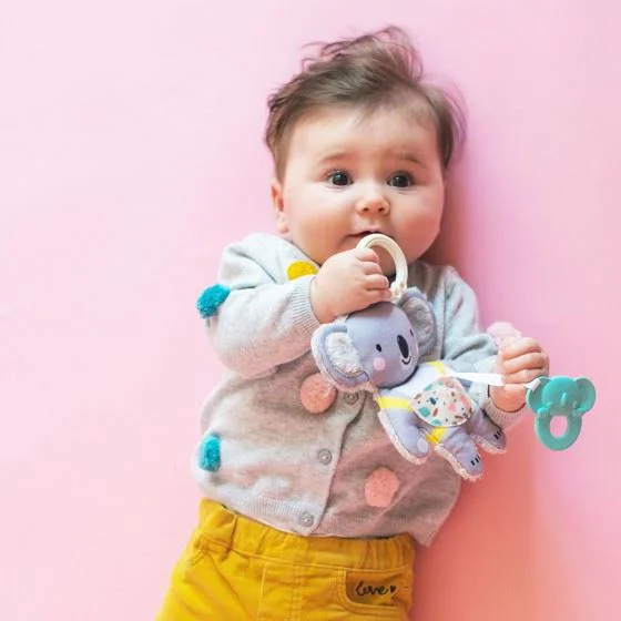 Игрушка-подвеска Taf Toys Карманное чудо, Мечтательная коала foto